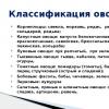 Технология приготовление простых и основных горячих блюд и гарниров из овощей и грибов урока производственного обучения