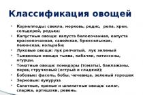 Технология приготовление простых и основных горячих блюд и гарниров из овощей и грибов урока производственного обучения